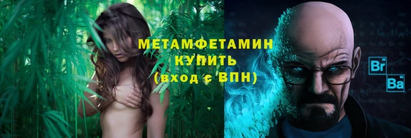 индика Верхний Тагил