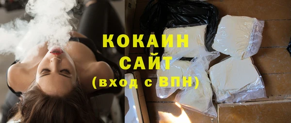 индика Верхний Тагил