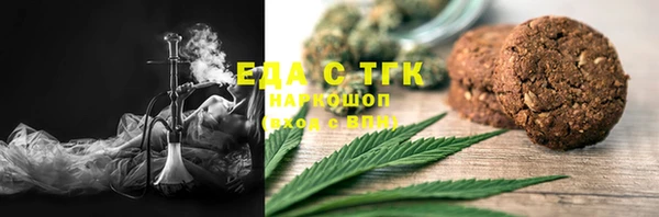 индика Верхний Тагил