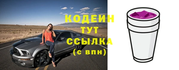 индика Верхний Тагил
