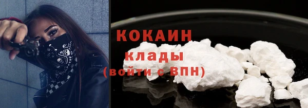 apvp Верея