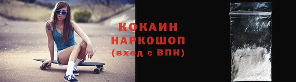индика Верхний Тагил