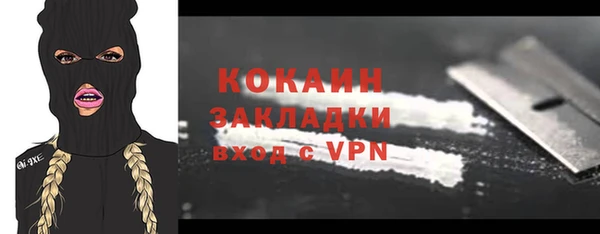 индика Верхний Тагил