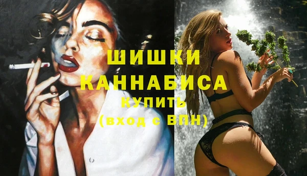 apvp Верея