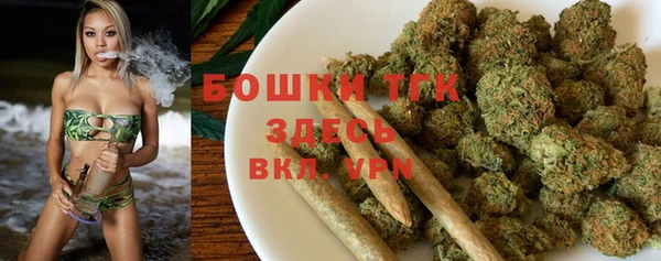 прущие грибы Верхнеуральск