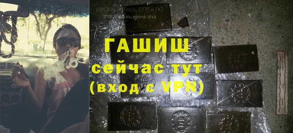 индика Верхний Тагил