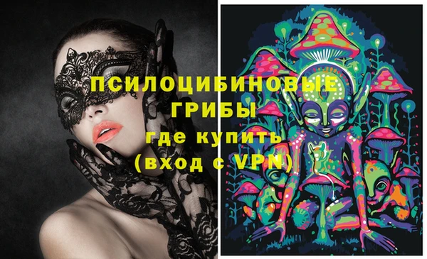 apvp Верея