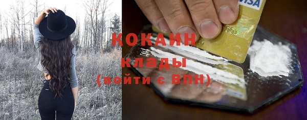 apvp Верея