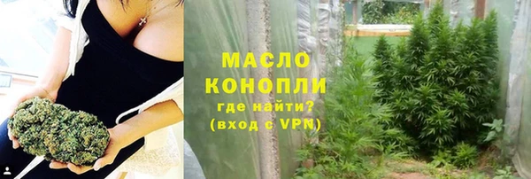 индика Верхний Тагил