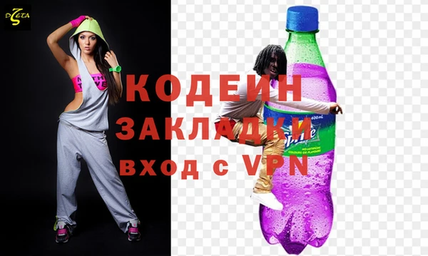 индика Верхний Тагил